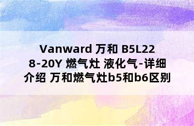 Vanward 万和 B5L228-20Y 燃气灶 液化气-详细介绍 万和燃气灶b5和b6区别